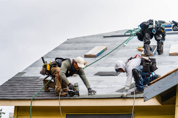 Professional Roofing technician working in Canyon, CA